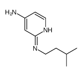 N2-isopentylpyridine-2,4-diamine structure