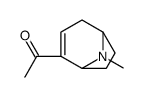 Ethanone, 1-(8-methyl-8-azabicyclo[3.2.1]oct-2-en-2-yl)- (9CI) picture