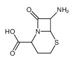 5-Thia-1-azabicyclo[4.2.0]octane-2-carboxylicacid,7-amino-8-oxo-(9CI)结构式