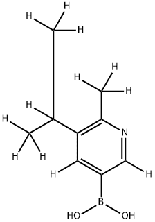 (6-(methyl-d3)-5-(propan-2-yl-d7)pyridin-3-yl-2,4-d2)boronic acid structure