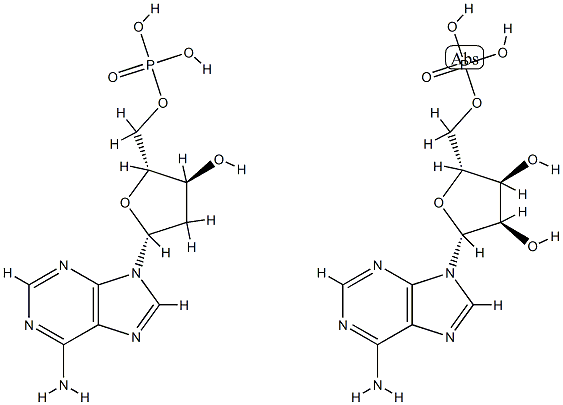 32070-56-7结构式