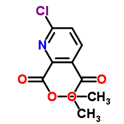 6-氯吡啶-2,3-二甲酸二甲酯结构式