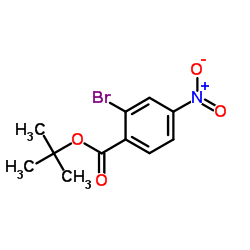 2-Methyl-2-propanyl 2-bromo-4-nitrobenzoate Structure