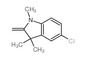 6872-17-9 structure