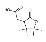 2-(4,4,5,5-tetramethyl-2-oxotetrahydrofuran-3-yl)acetic acid结构式