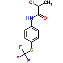 2-CHLORO-N-(4-TRIFLUOROMETHYLSULFANYL-PHENYL)-PROPIONAMIDE structure