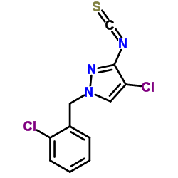 4-CHLORO-1-(2-CHLORO-BENZYL)-3-ISOTHIOCYANATO-1H-PYRAZOLE picture