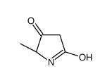 (5S)-5-methylpyrrolidine-2,4-dione Structure