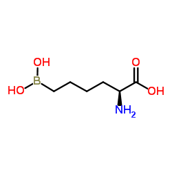 6-(Dihydroxyboryl)-L-norleucine Structure