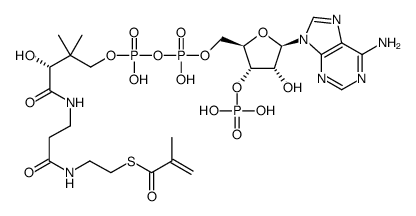 methacrylyl-CoA Structure