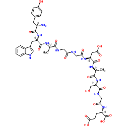 L-Tyrosyl-L-tryptophyl-L-alanylglycylglycyl-L-α-aspartyl-L-alanyl-L-serylglycyl-L-glutamic acid Structure