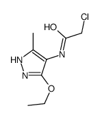 2-chloro-N-(3-ethoxy-5-methyl-1H-pyrazol-4-yl)acetamide结构式