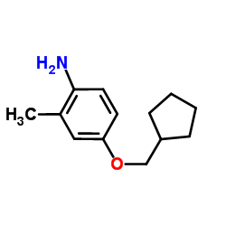 4-(Cyclopentylmethoxy)-2-methylaniline结构式