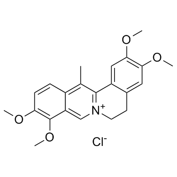 Dehydrocorydaline chloride picture