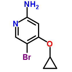 5-Bromo-4-(cyclopropyloxy)-2-pyridinamine结构式