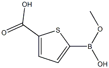 Methyl thiophene-2-boronic acid-5-carboxylate picture