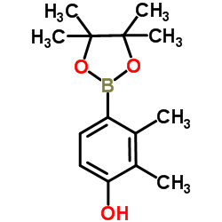 2,3-Dimethyl-4-(4,4,5,5-tetramethyl-1,3,2-dioxaborolan-2-yl)phenol Structure