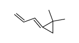 1-Allyliden-2,2-dimethyl-cyclopropan结构式