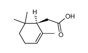 (R)-(2,6,6-trimethylcyclohex-2-enyl)acetic acid Structure