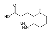 2-Amino-4-((4-aminobutyl)amino)butanoic结构式