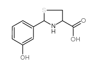 2-(3-羟基苯基)-噻唑烷-4-羧酸结构式