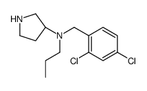 (3S)-N-[(2,4-dichlorophenyl)methyl]-N-propylpyrrolidin-3-amine Structure