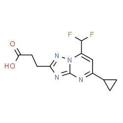 3-[5-Cyclopropyl-7-(difluoromethyl)-[1,2,4]triazolo[1,5-a]pyrimidin-2-yl]propanoic acid picture