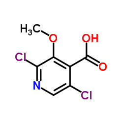 1305324-55-3 structure