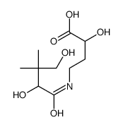 4-[(2,4-dihydroxy-3,3-dimethylbutanoyl)amino]-2-hydroxybutanoic acid结构式