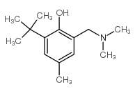 2-叔丁基-6-[(二甲基氨基)甲基]-4-甲基苯醇结构式