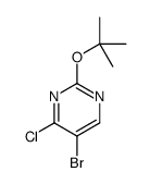 5-bromo-4-chloro-2-[(2-methylpropan-2-yl)oxy]pyrimidine Structure