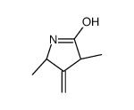 2-Pyrrolidinone,3,5-dimethyl-4-methylene-,trans-(9CI) Structure