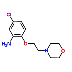 5-Chloro-2-[2-(4-morpholinyl)ethoxy]aniline结构式