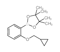 2-环丙基甲氧基苯基硼酸频哪醇酯图片