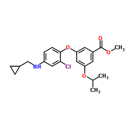 1310808-34-4 structure