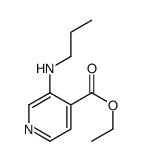 4-Pyridinecarboxylicacid,3-(propylamino)-,ethylester(9CI)结构式