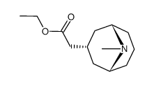 171919-33-8 structure