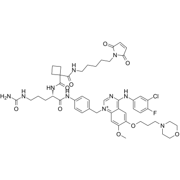 MC-Sq-Cit-PAB-Gefitinib picture