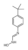 N'-(4-tert-butylphenyl)-N-hydroxymethanimidamide结构式