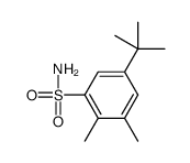 5-tert-butyl-2,3-dimethylbenzenesulfonamide Structure