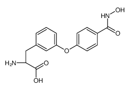 (2S)-2-amino-3-[3-[4-(hydroxycarbamoyl)phenoxy]phenyl]propanoic acid Structure