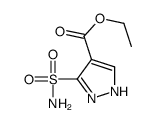 ethyl 5-sulfamoyl-1H-pyrazole-4-carboxylate结构式