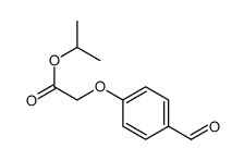 199177-25-8结构式