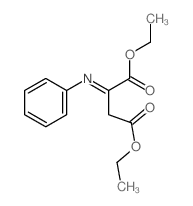 Butanedioic acid,2-(phenylimino)-, 1,4-diethyl ester picture