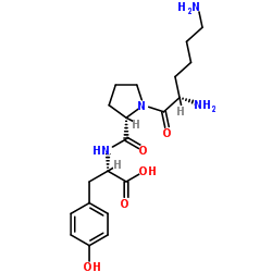 290314-43-1 structure