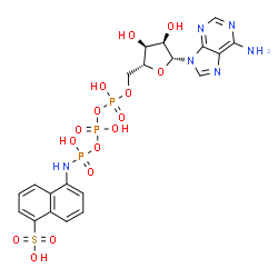 ATP-1-aminonaphthalene-5-sulfonate结构式