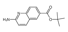 2-amino-quinoline-6-carboxylic acid tert-butyl ester结构式