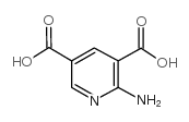 2-amino-3,5-pyridinedicarboxylic acid picture