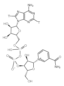 107688-05-1 structure