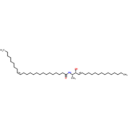 N-神经酰基-1-脱氧鞘氨醇(m18：1/24：1)结构式